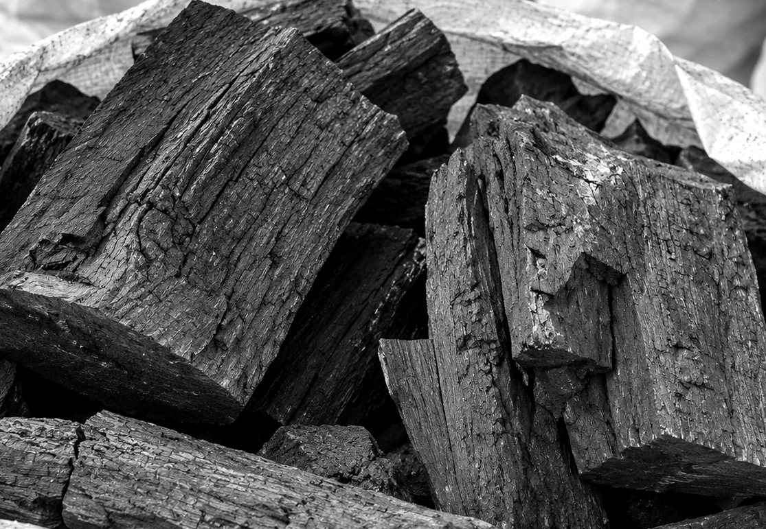 Bloques de carbón vegetal de origen argentino